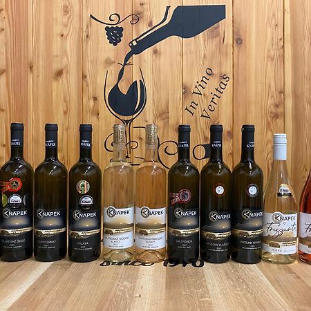 Vinarstvi & Penzion Knapek Strachotin Otel Dış mekan fotoğraf
