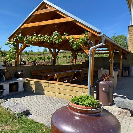 Vinarstvi & Penzion Knapek Strachotin Otel Dış mekan fotoğraf