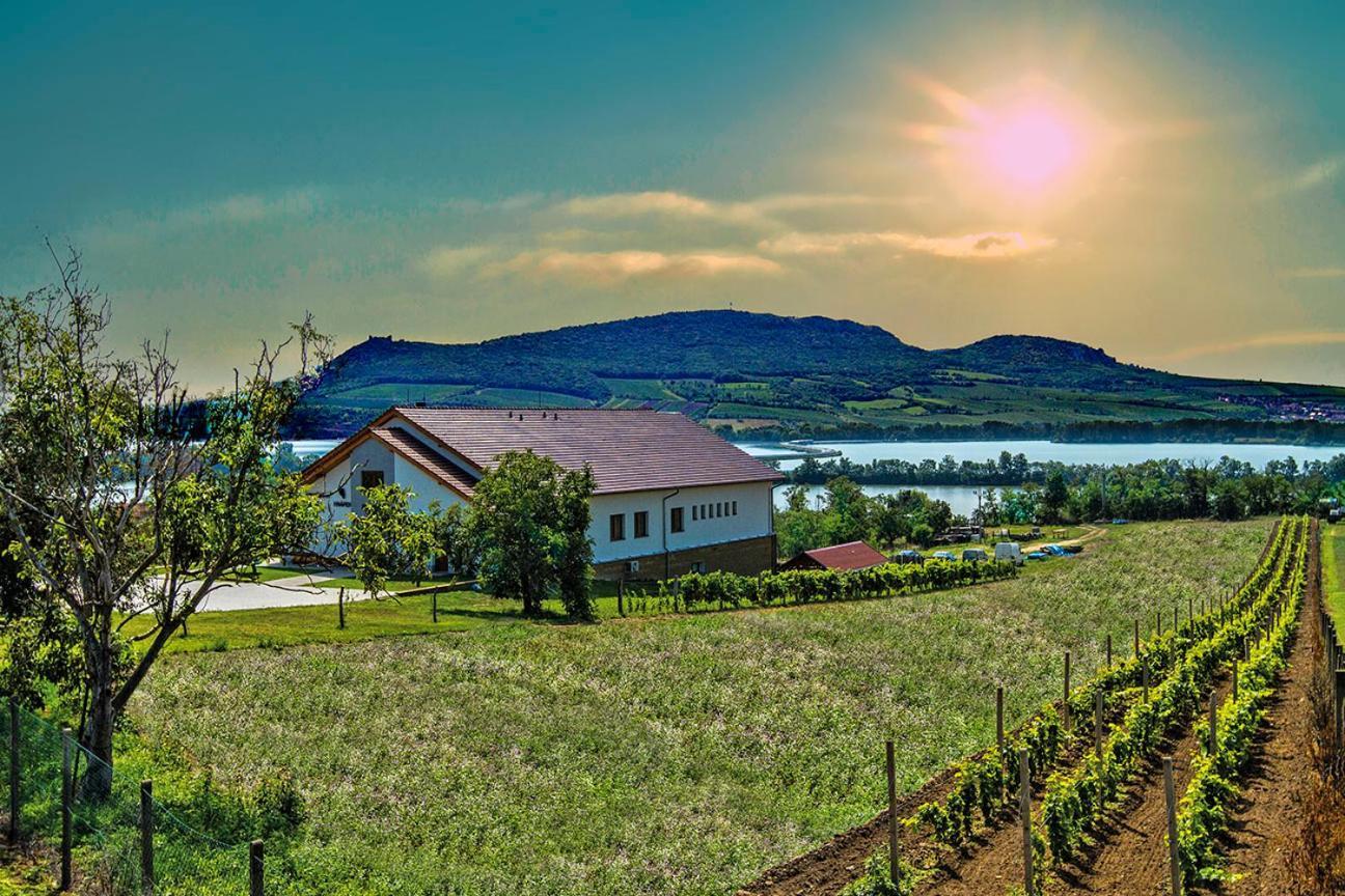 Vinarstvi & Penzion Knapek Strachotin Otel Dış mekan fotoğraf